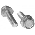 Stainless Flange (Fender) Bolts